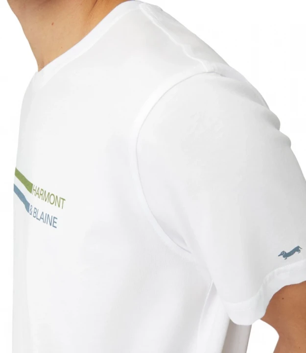 Harmont & Blaine T-Shirt With Lettering And Stripes Futbolkasi 2