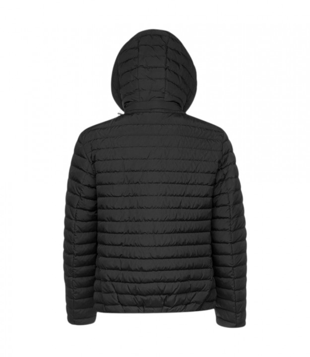 Ascanio Man 5
