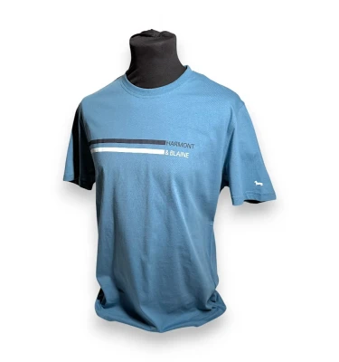 Футболка Harmont & Blaine T-Shirt With Lettering And Stripes 1
