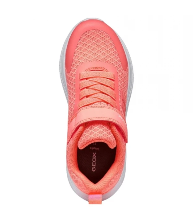 Кроссовки Geox Sneakersy J Sprintye Girl 4