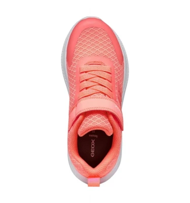 Кроссовки Geox Sneakersy J Sprintye Girl 4