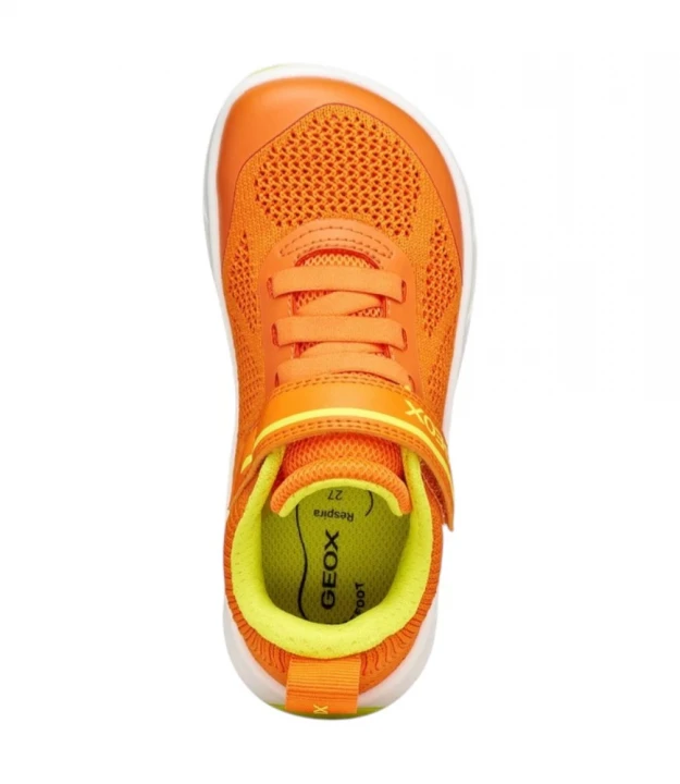 Кроссовки Geox Foot-Run 1