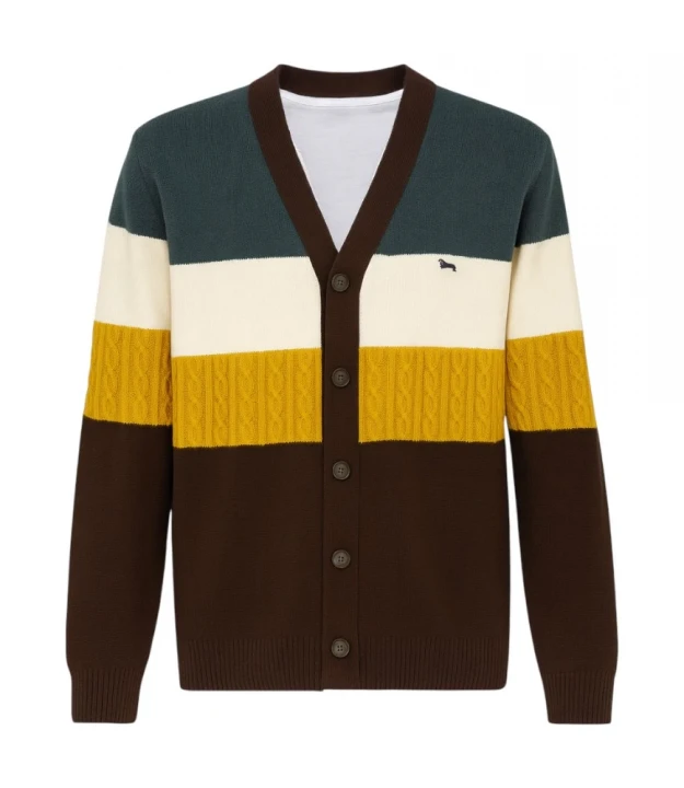 Кардиган Harmont & Blaine Knitwear Cardigan Block Color