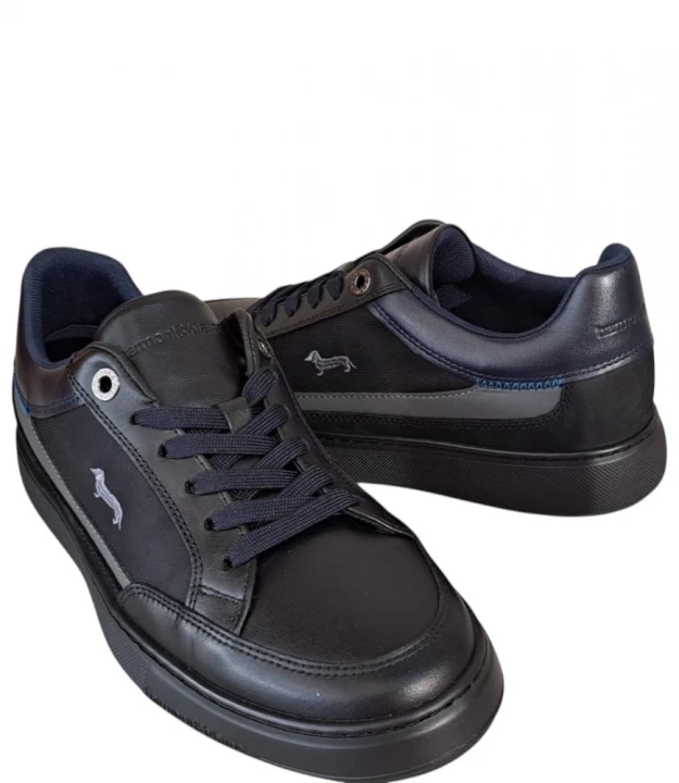 Кроссовки Harmont & Blaine Cupsole Luis 0