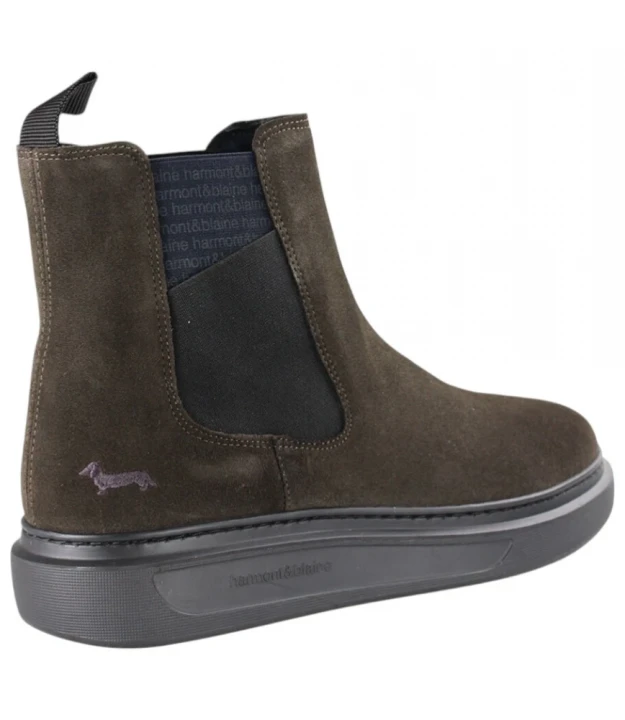 Ботинки Harmont & Blaine Cupsole 1