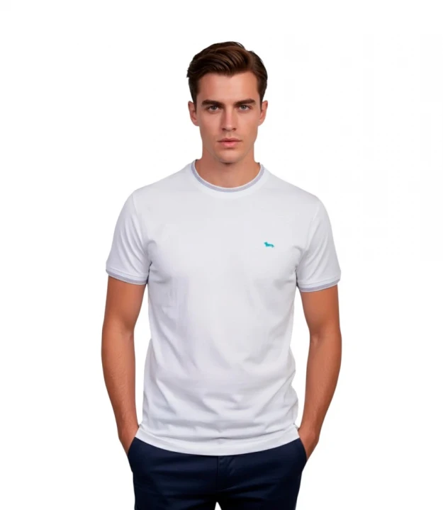Футболка Harmont & Blaine T-Shirt Con Dettagli Rigati