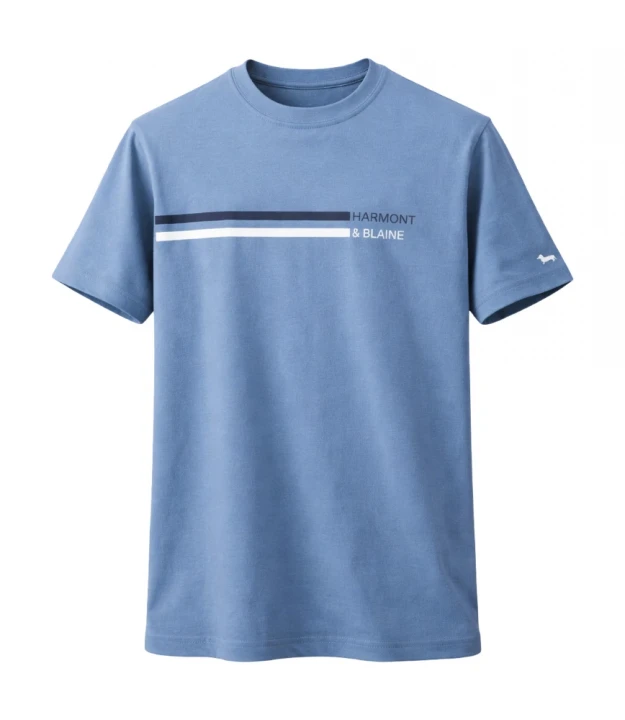 T-Shirt With Lettering And Stripes 1