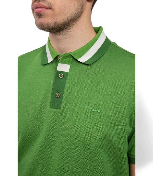 Polo Fintino in Costi 1