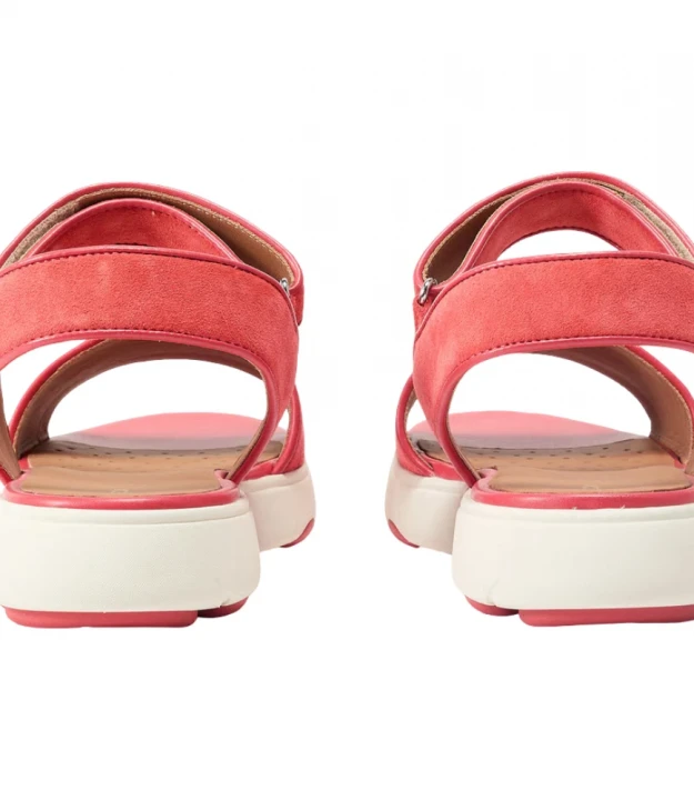 Nebula 2.0 C S Woman 2