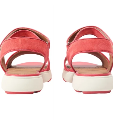 Nebula 2.0 C S Woman 2