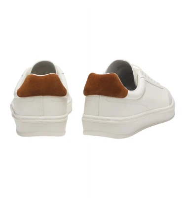 Zarek_Tenn_sddr_DB 3