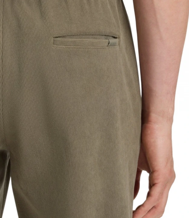 P-Genius-CW-WG-252F 3