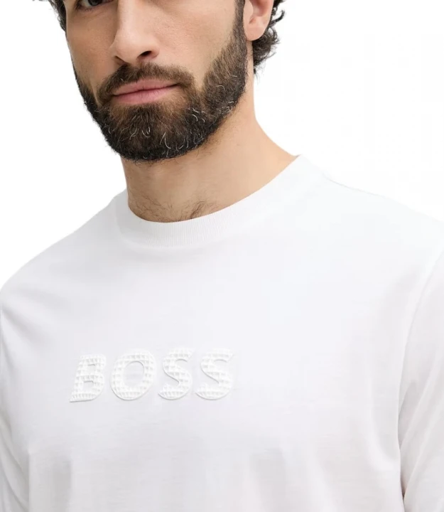 TS_Terrace_Logo 2