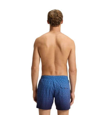 Vale Trunk 1