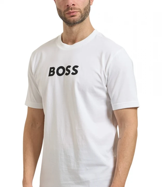 Ts Logo 2
