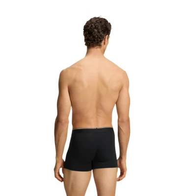 BoxerBR 3P Bamboo 2