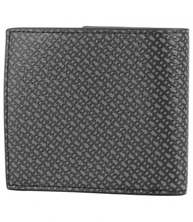 Ray_Mn_4Cc_Coin 2
