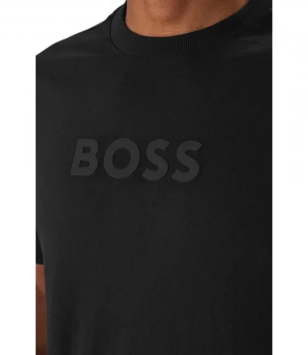 Ts_Logo 2