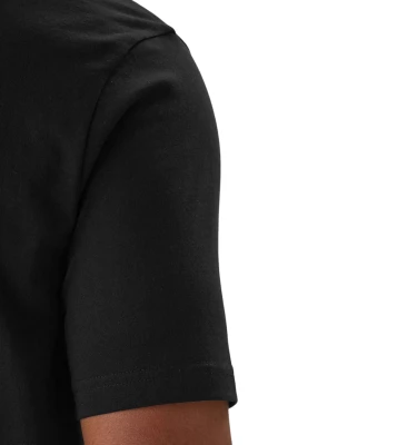 Ts_Logo 3