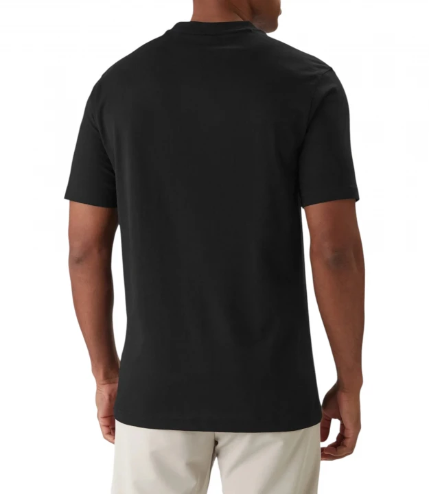 Ts_Logo 1