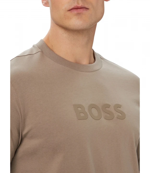 Ts_Logo 2
